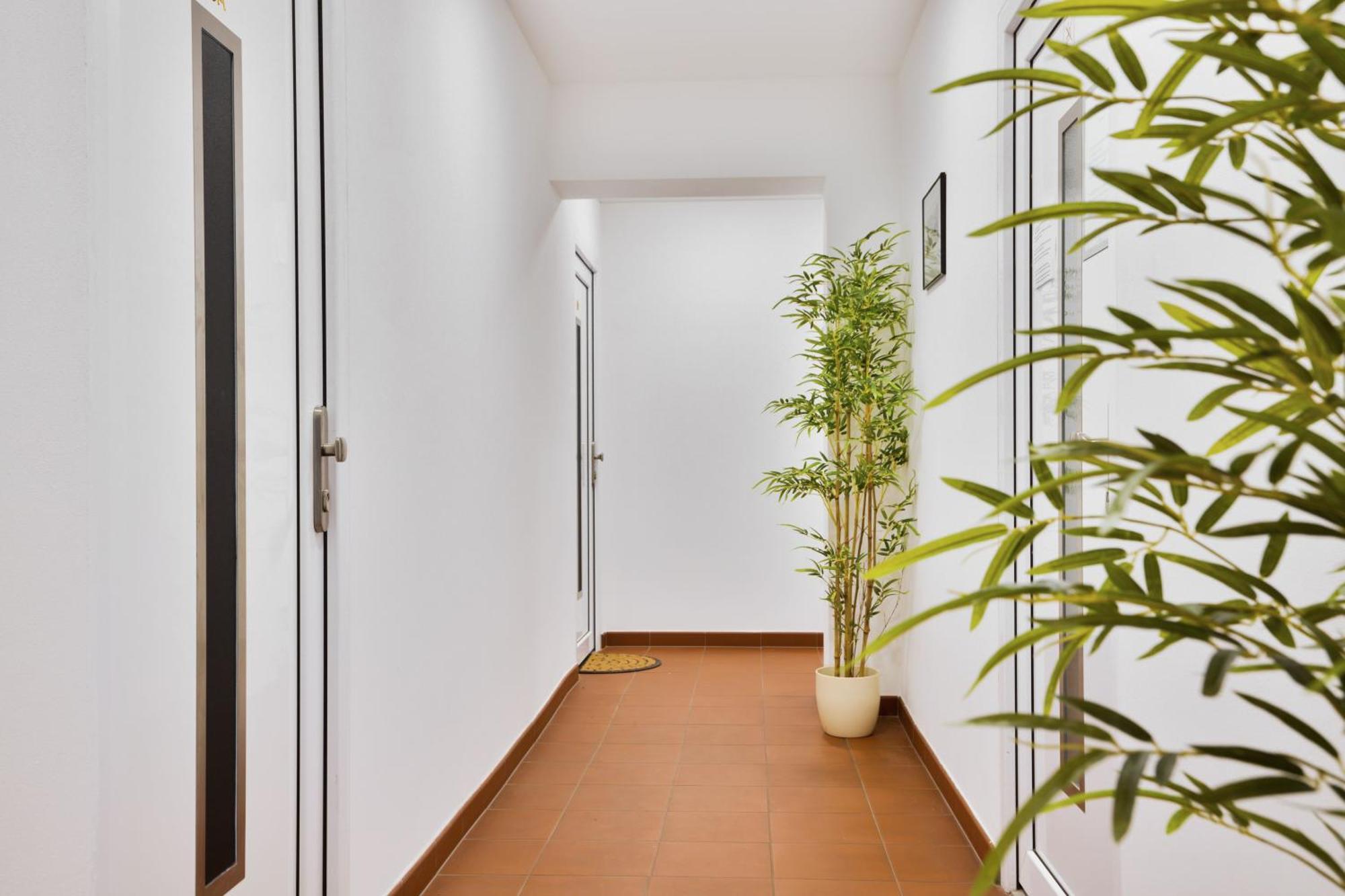 Apartmany Decin Ngoại thất bức ảnh
